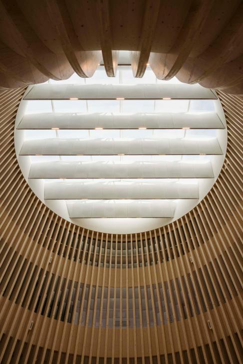Oculus 