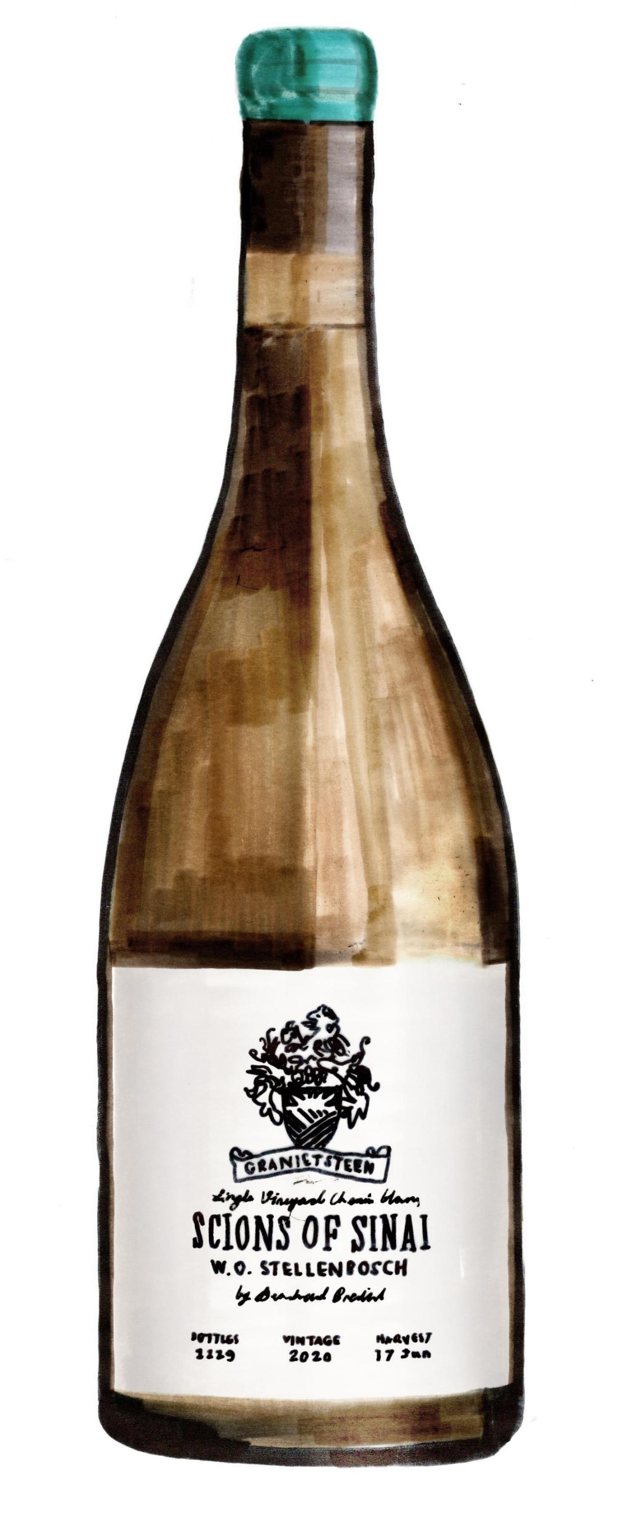 Chenin Blanc, Scions of Sinai, Stellenbosch wine