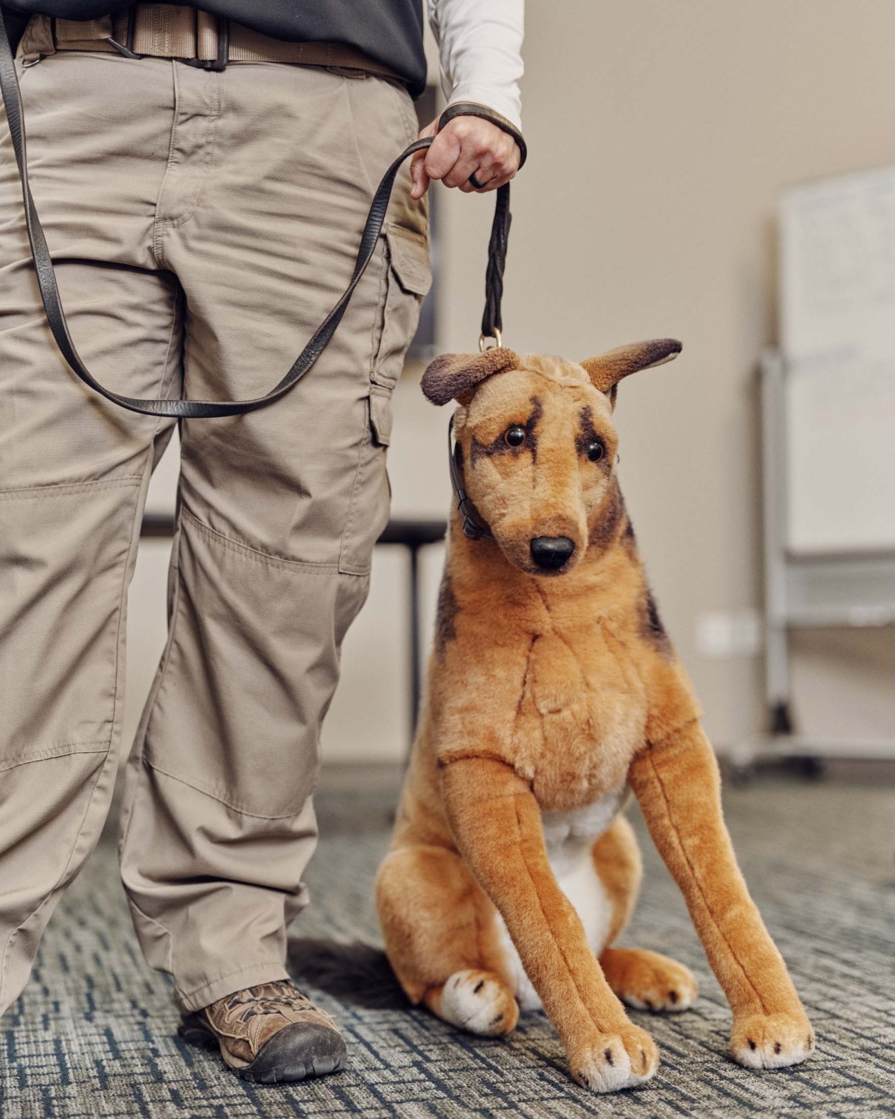 Toy dog used for training 