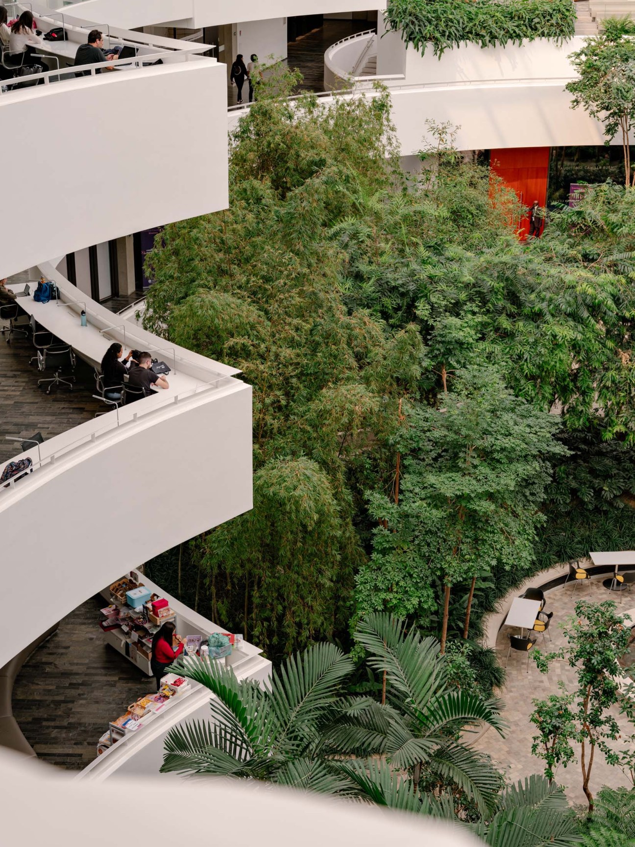 Detail of Albert Einstein Education and Research Centre