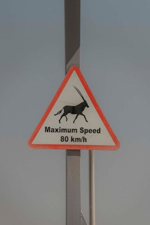 Animal crossing road sign in Qatar