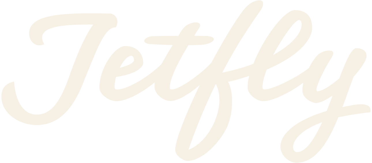 Jetfly