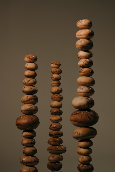 The Magical Pillars, by Dr. Zahrah Alghamdi