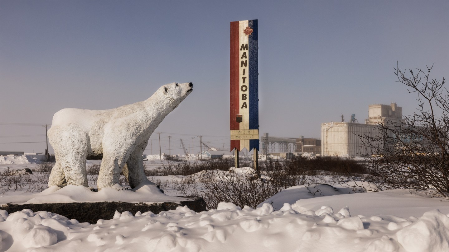 Polar bear statue at Churchill