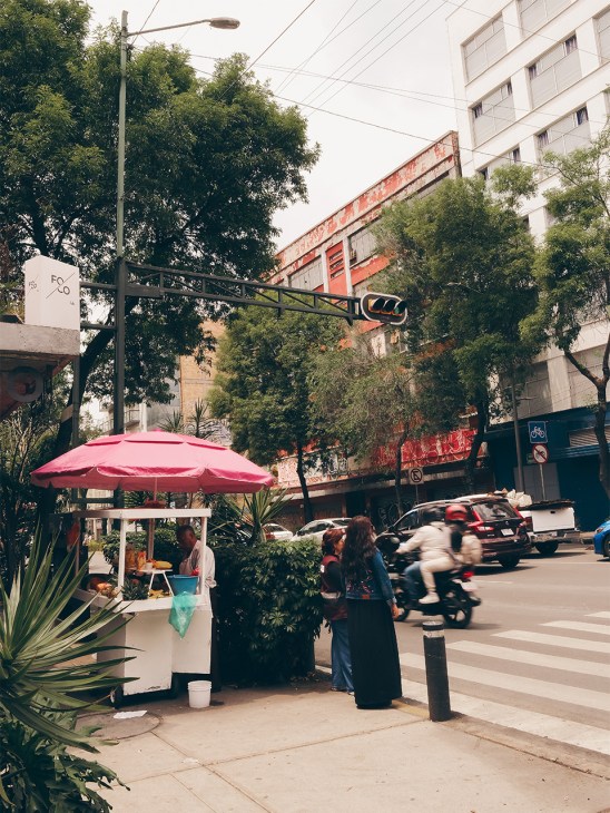 The Roma neighbourhood in Mexico City