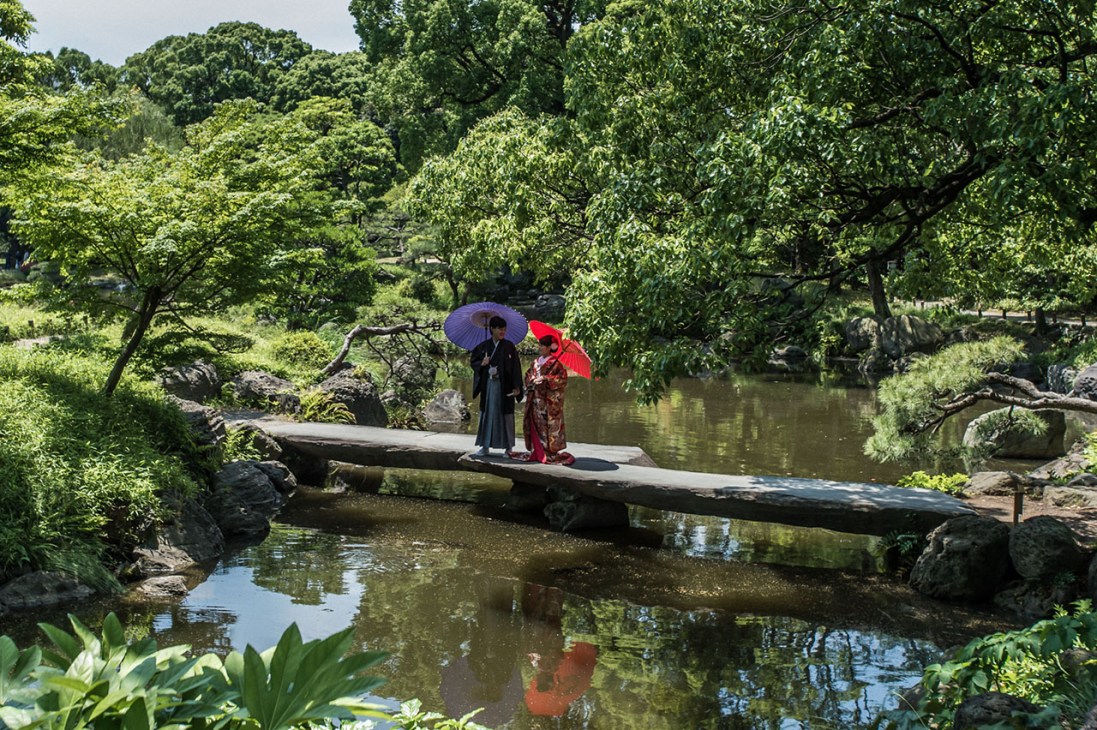 Tokyo greenery