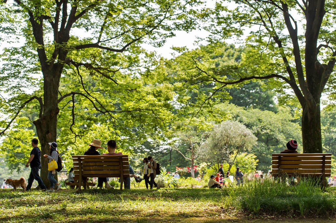 Tokyo green park