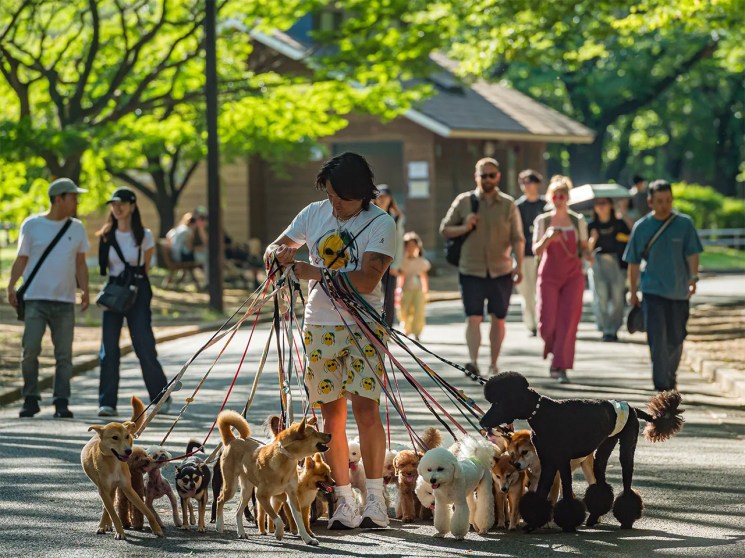 Despite its enormous scale, Tokyo remains a city where good manners thrive