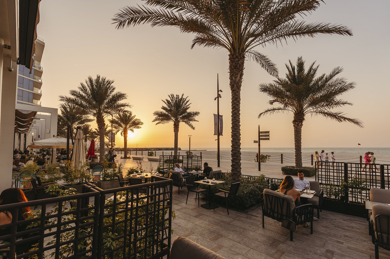 Abu Dhabi palm trees