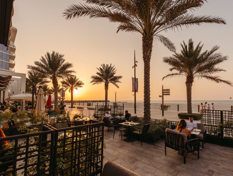 Abu Dhabi palm trees