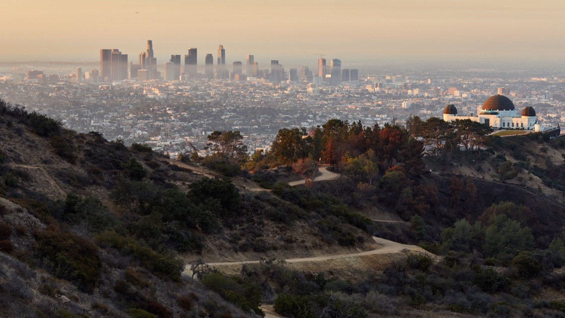 The LA skyline