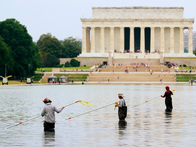 What can be gleaned from Washington’s Reflecting Pool on the week of the US’s 250th birthday?