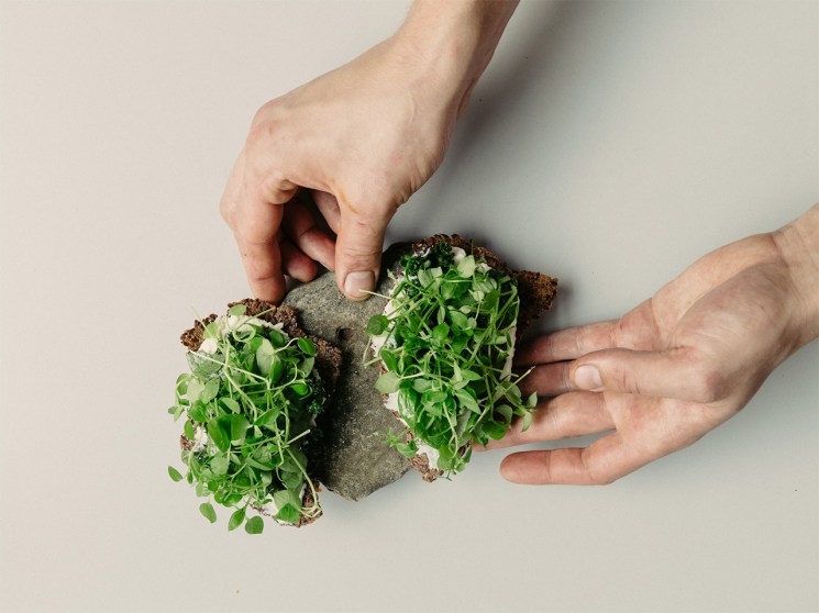 From plot to plate: Berlin’s restaurants are relishing in ingredients from the city’s allotments