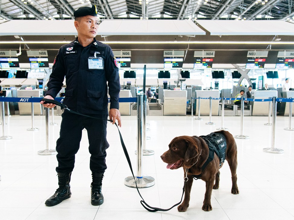 Sniffer dog with a guard in an airport