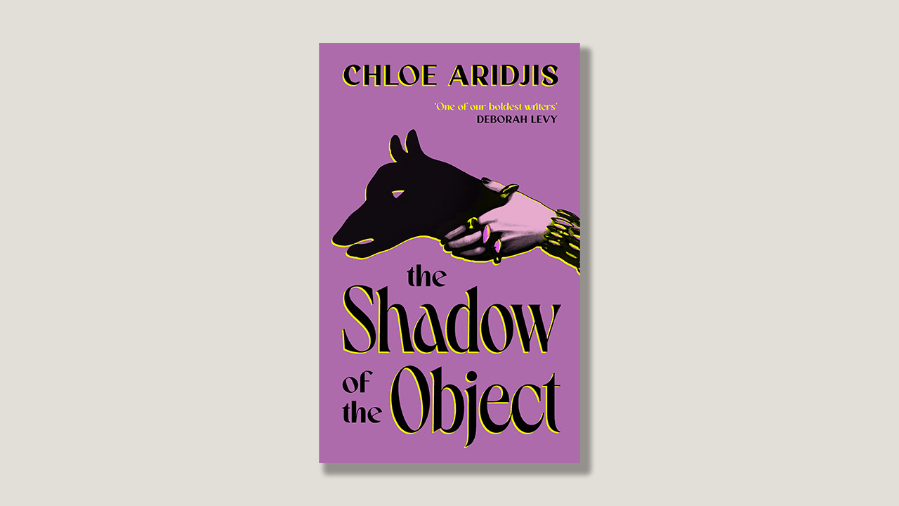Chloe Aridjis on objects, projection and transformation