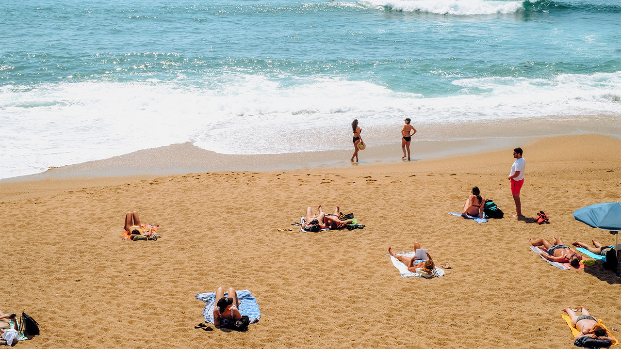 The summer is magic: A collection of sunny songs