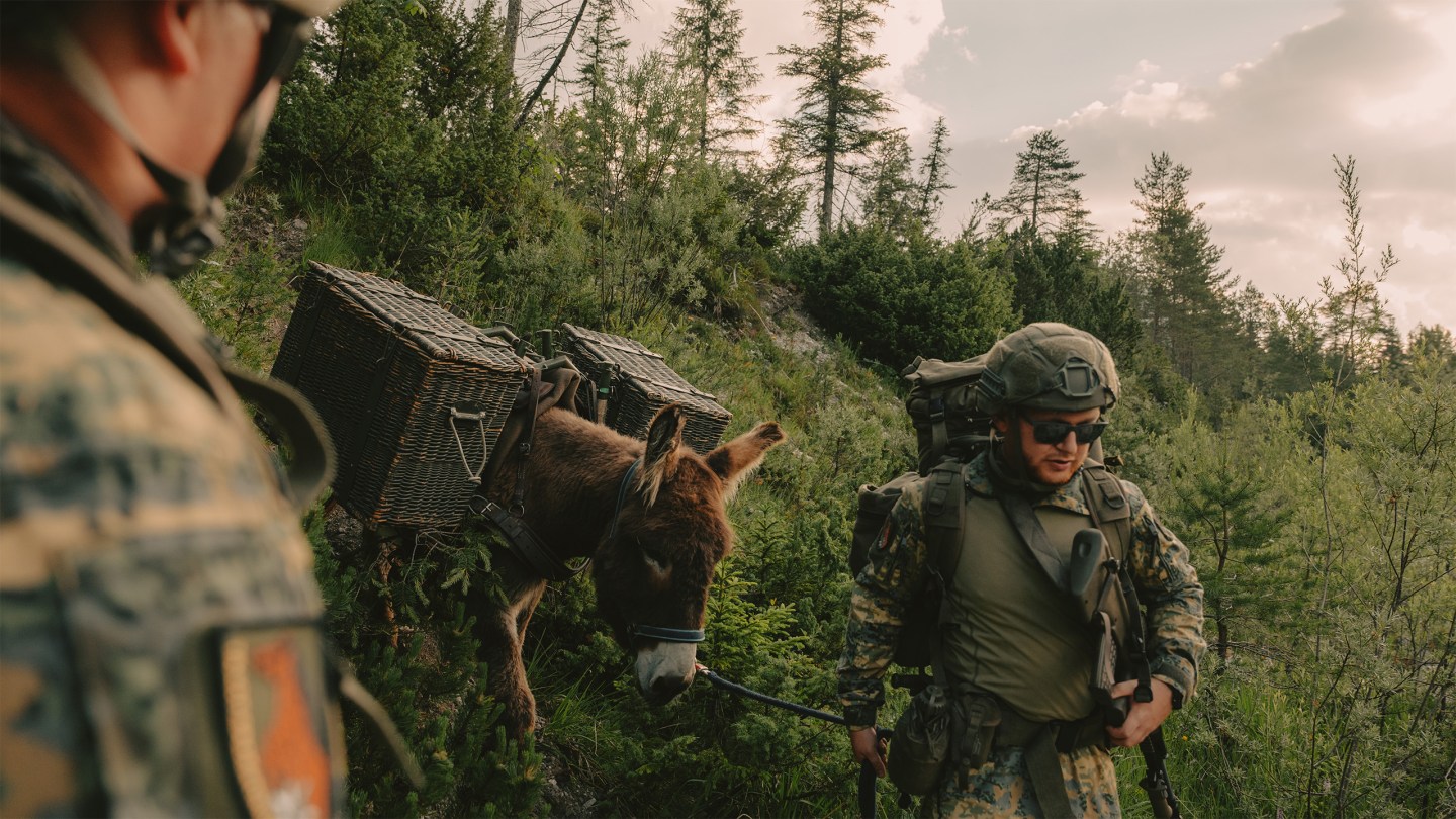 Why the world’s elite special forces are training with horses and donkeys