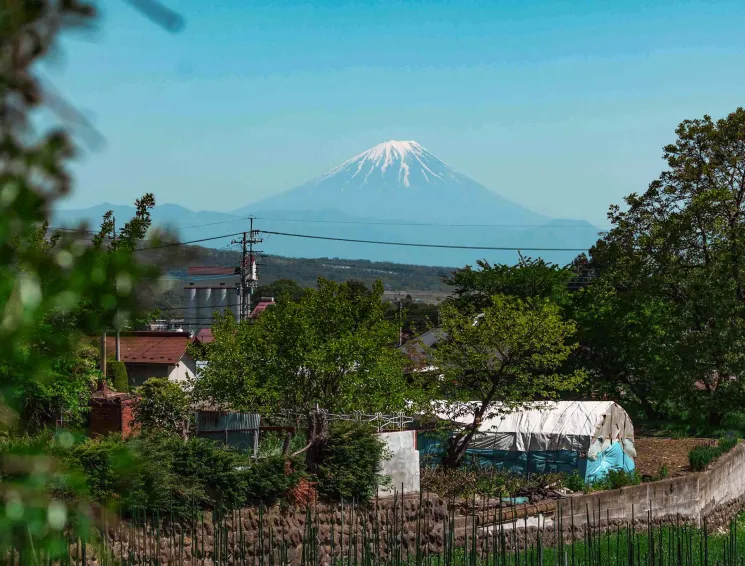 Time flows slowly in Hakushū, giving you plenty of time to stop and sip the saké