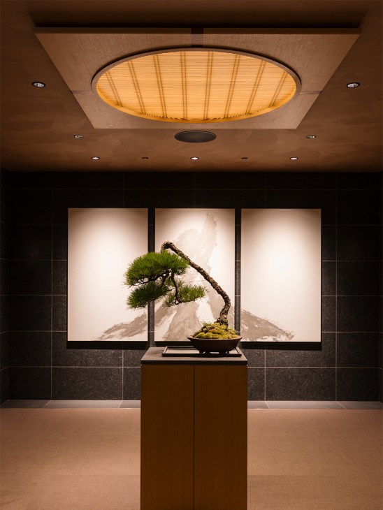 Bonsai tree displayed on a pedestal at Capella Kyoto with illuminated backdrop artwork.