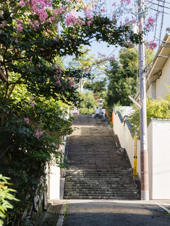 Stone staircase framed by pink flowering vines leading upward toward Kenkun Shrine in Kyoto