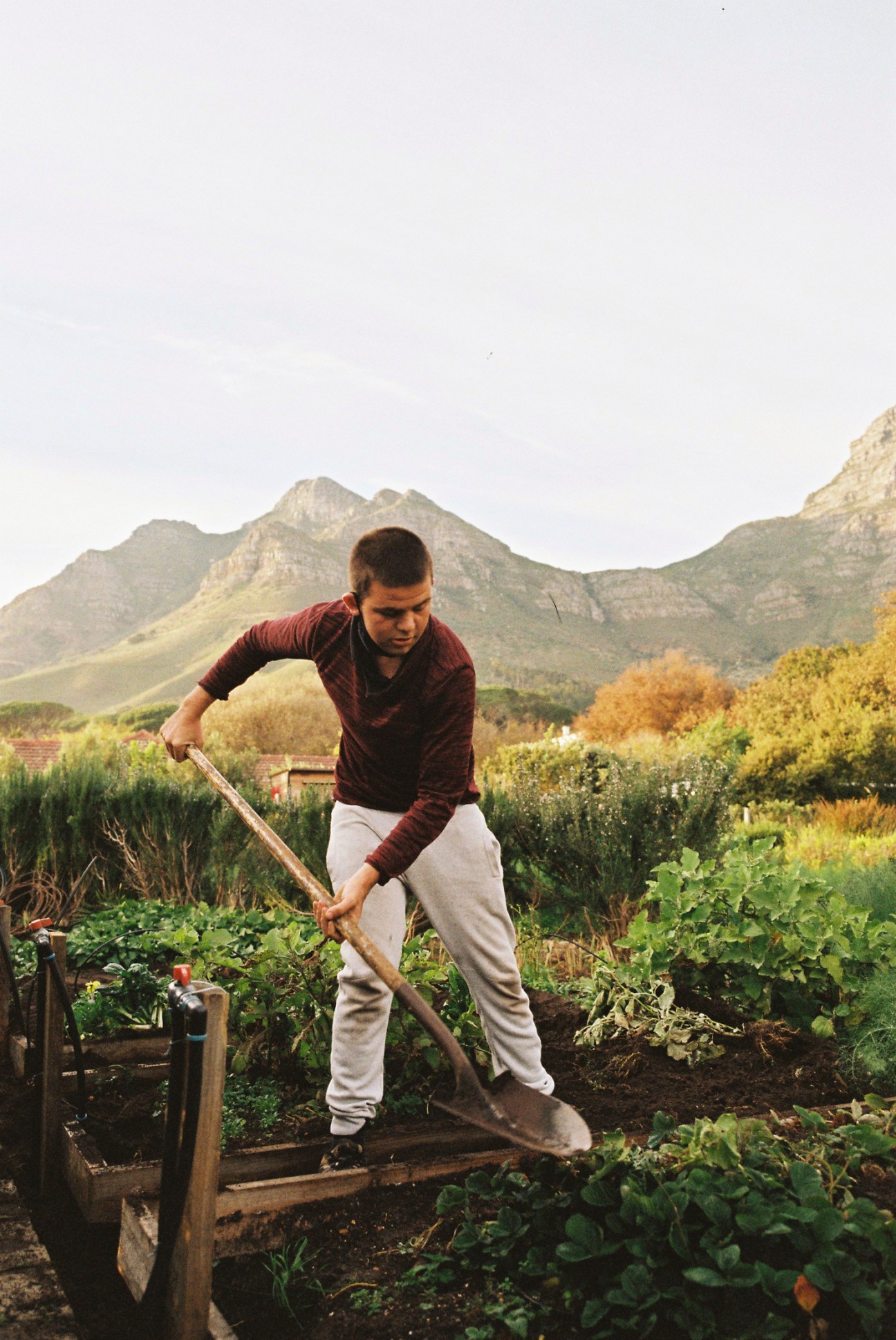 Joshua Harding helps out during school holidays
