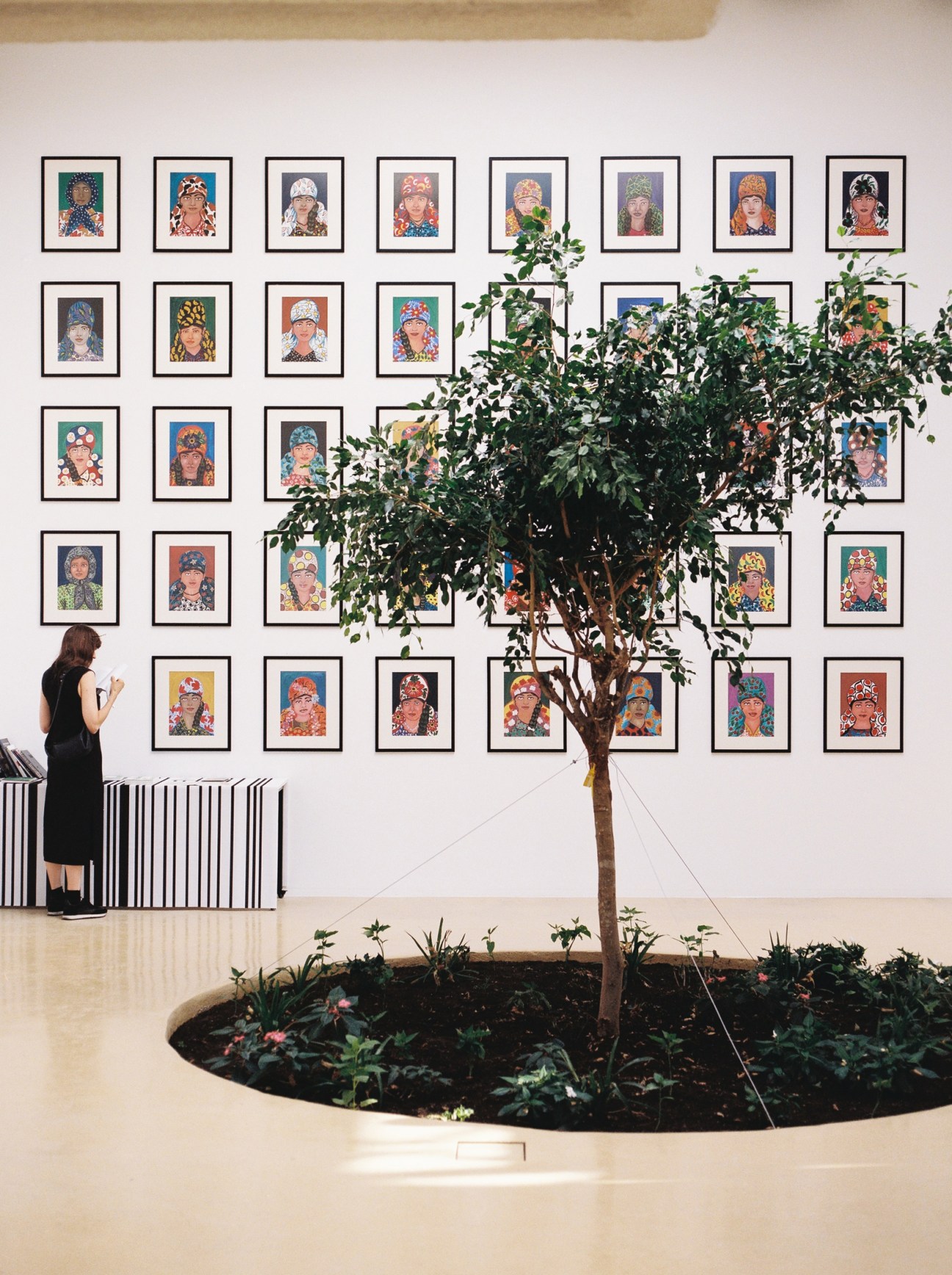Grid of colorful portrait artworks displayed on white wall with large indoor tree in foreground and person viewing