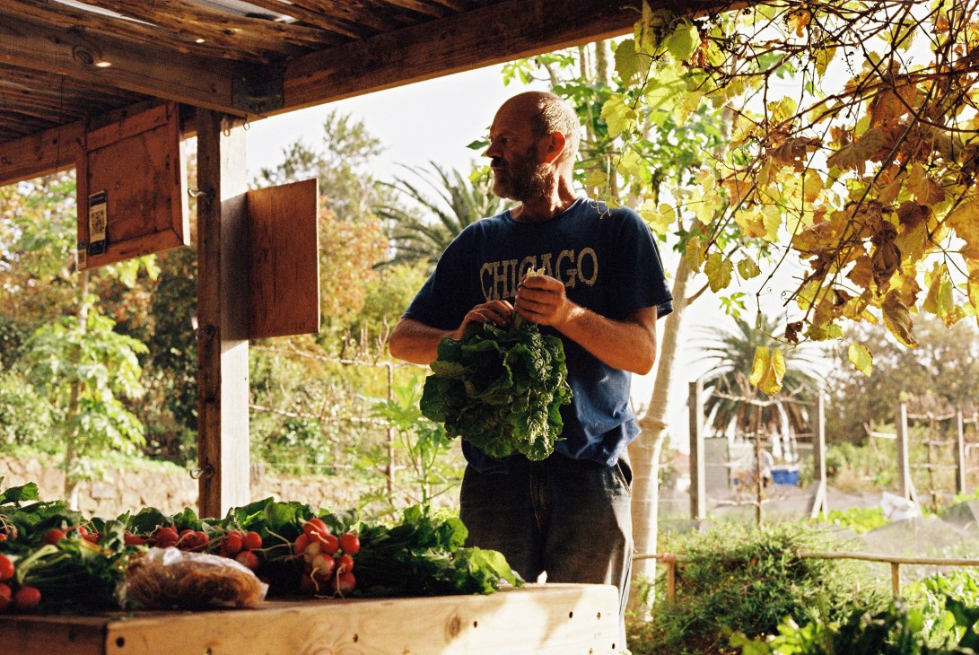 Mark Harding, one of Oranjezicht's paid farmers, holds fresh leafy greens under a covered outdoor workspace