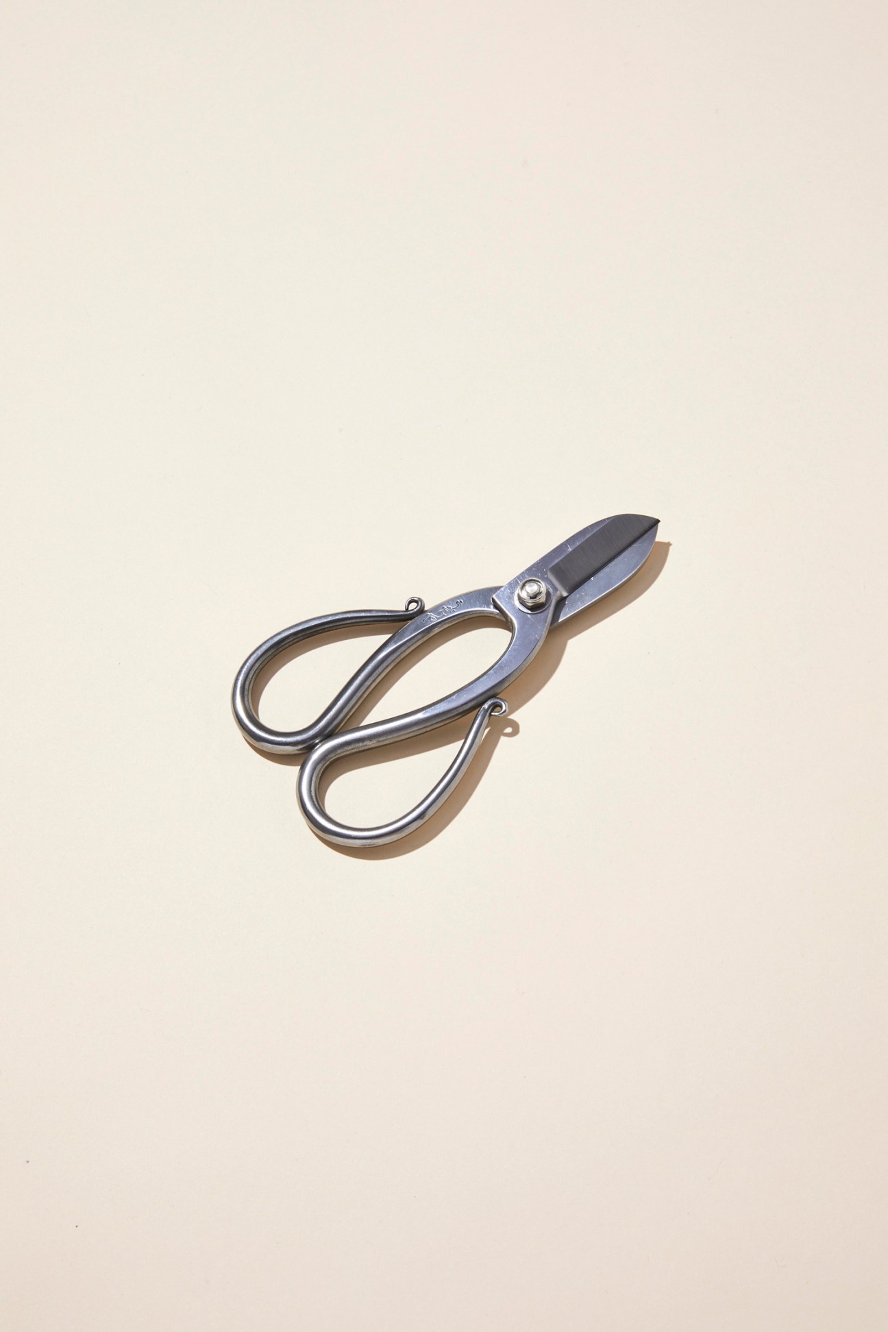 Silver metal pruning shears or garden scissors with curved handles on beige background