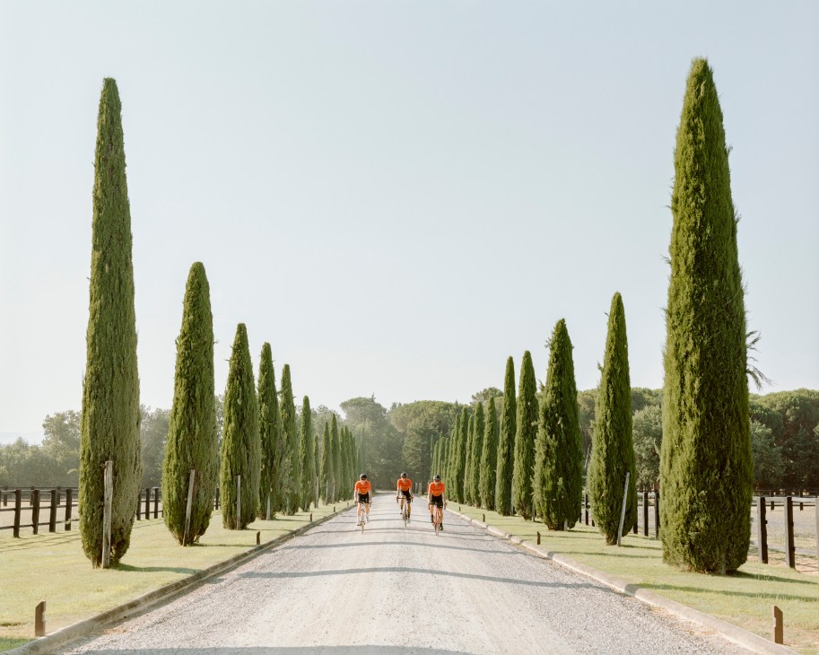 Three cyclists in orange jerseys riding on tree-lined road with tall cypress trees