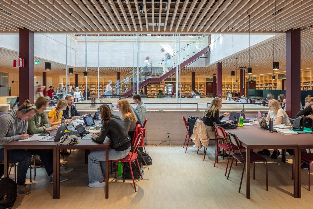 Students studying at wooden tables with laptops and books in a modern library with wooden ceiling slats