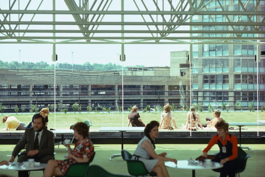Interior of Willis Faber & Dumas office in Ipswich showing workers in an open-plan space with large windows overlooking green grounds and modern building complex.