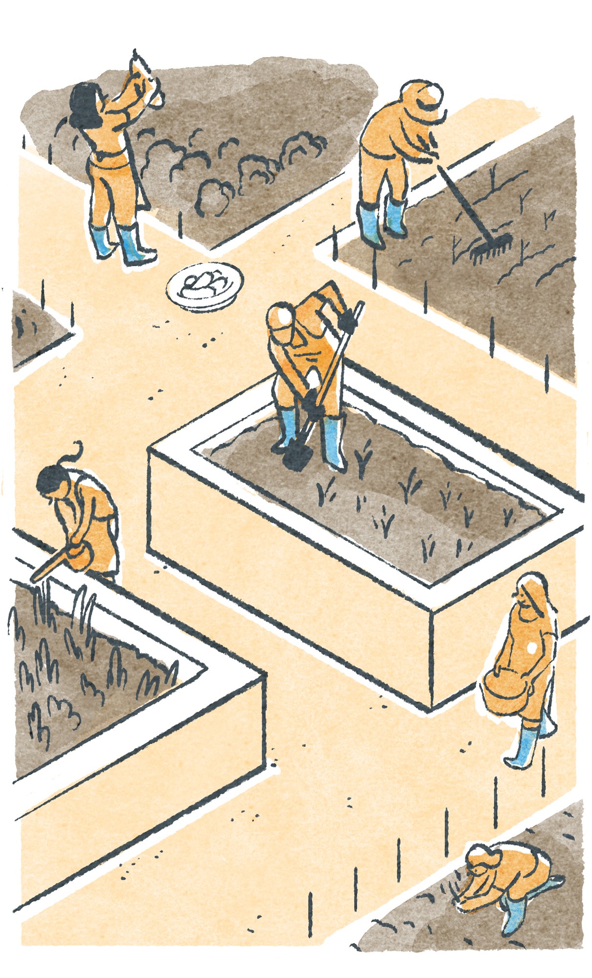 Illustration of people tending to community garden raised beds with growing vegetables.