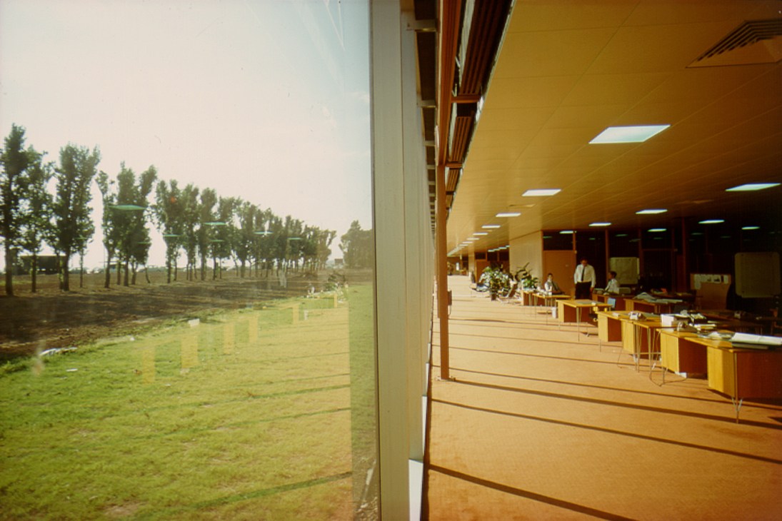 Interior of IBM Pilot Head Office in Portsmouth showing open-plan workspace with yellow-ochre ceiling, wooden details, and views of landscaped grounds with tree-lined avenue beyond.