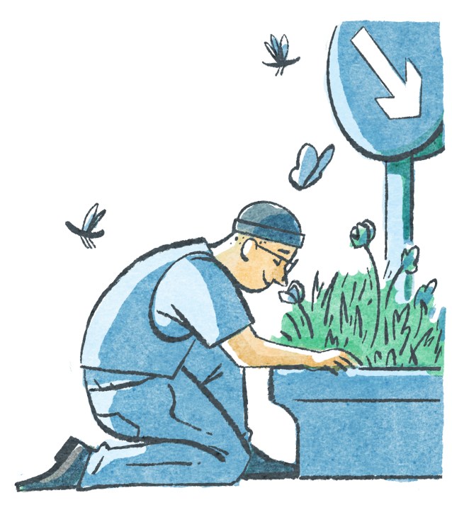 Illustration of person kneeling to plant wildflowers in urban tree pit with blue sign above