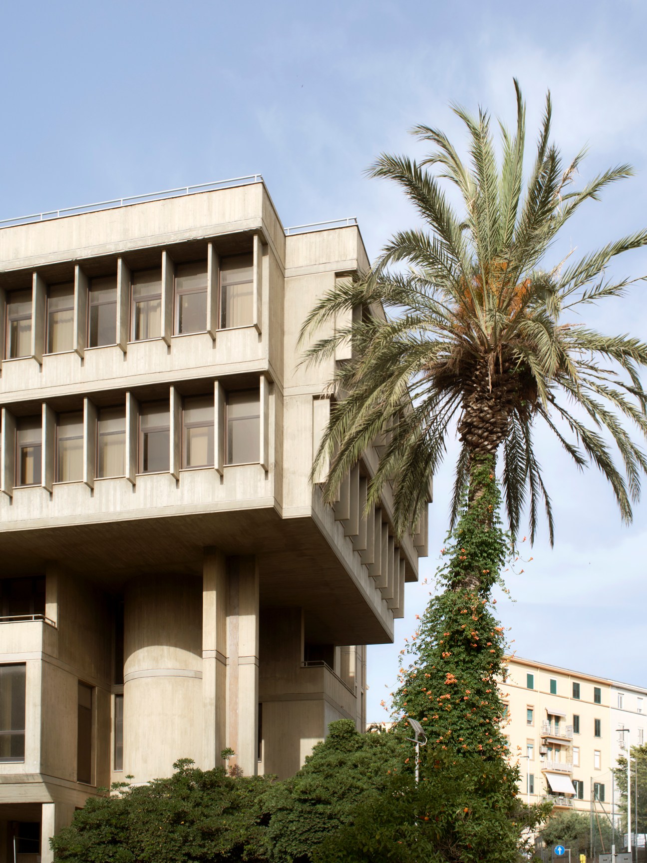 Concrete brutalist building with geometric balconies and columns, palm tree in foreground against blue sky in Cagliari