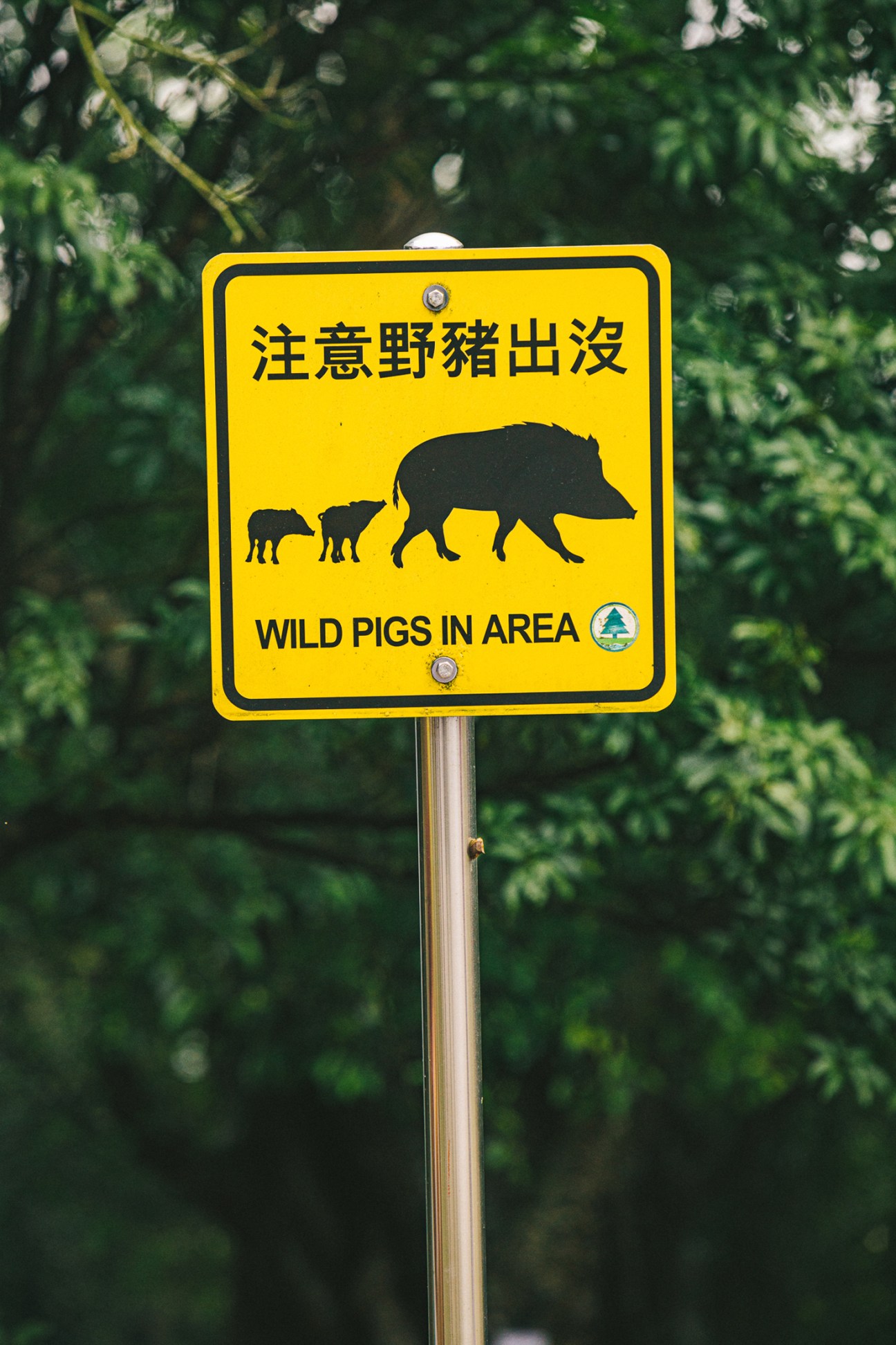 Mountain hiking trail with lush green vegetation and rocky terrain in Hong Kong