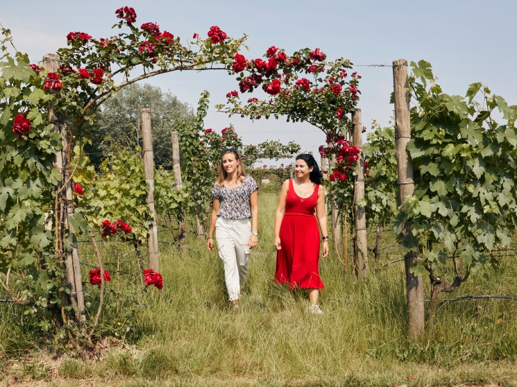 Tower grapes