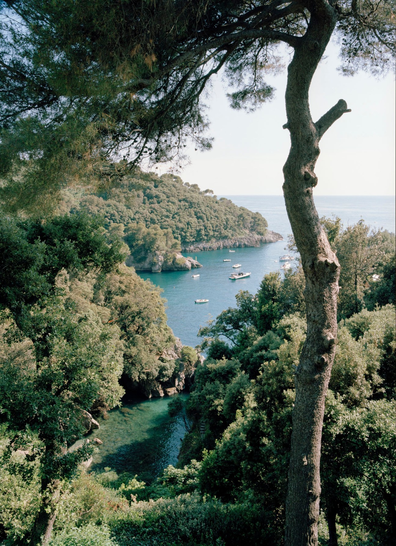 Rocky secluded cove with clear turquoise water surrounded by lush green vegetation and trees