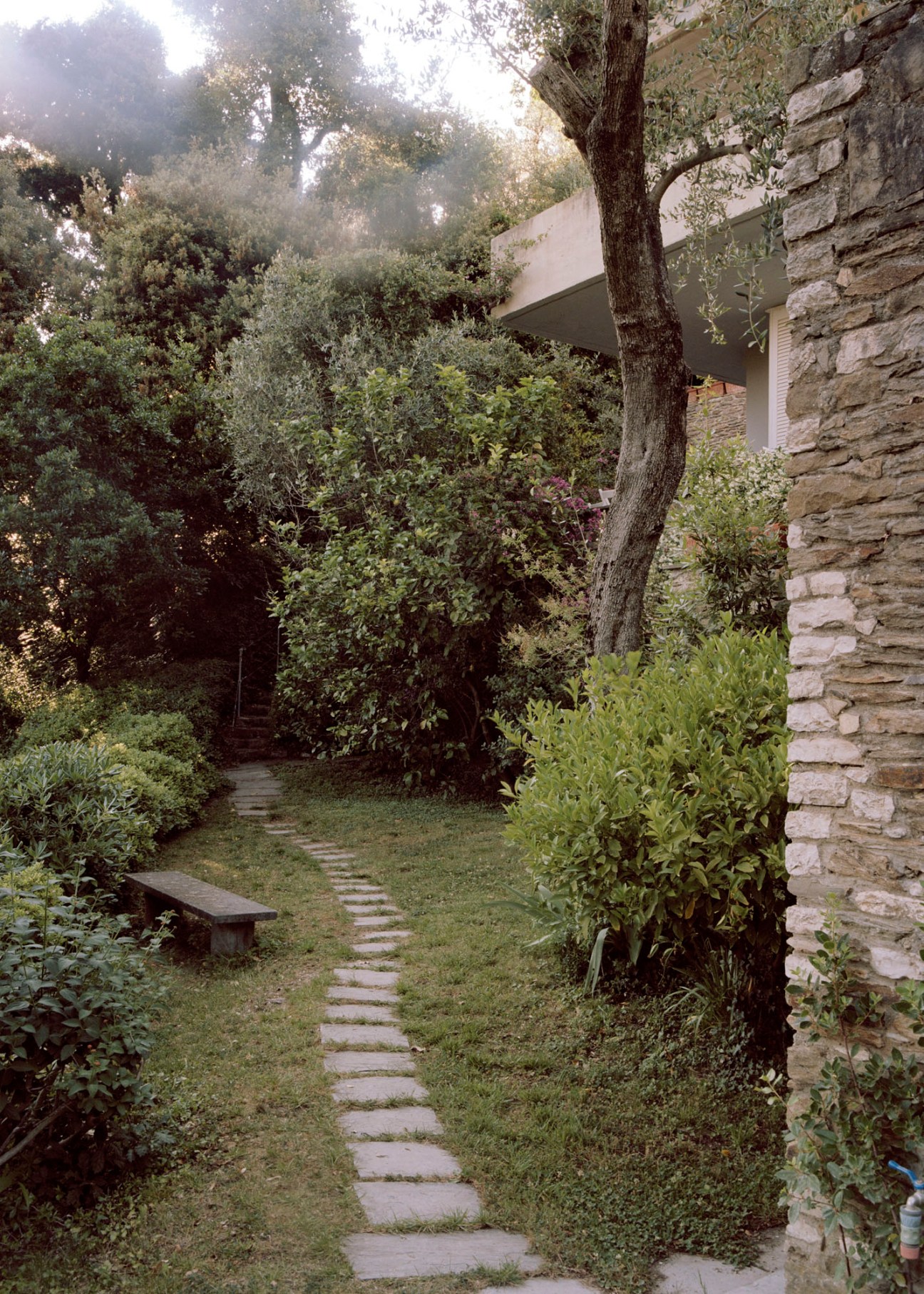 Winding stone pathway through lush green vegetation leading down hillside toward water