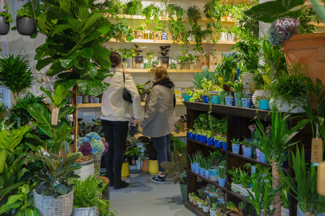 Two customers browse lush plants and shelving inside The Nunhead Gardener garden centre.