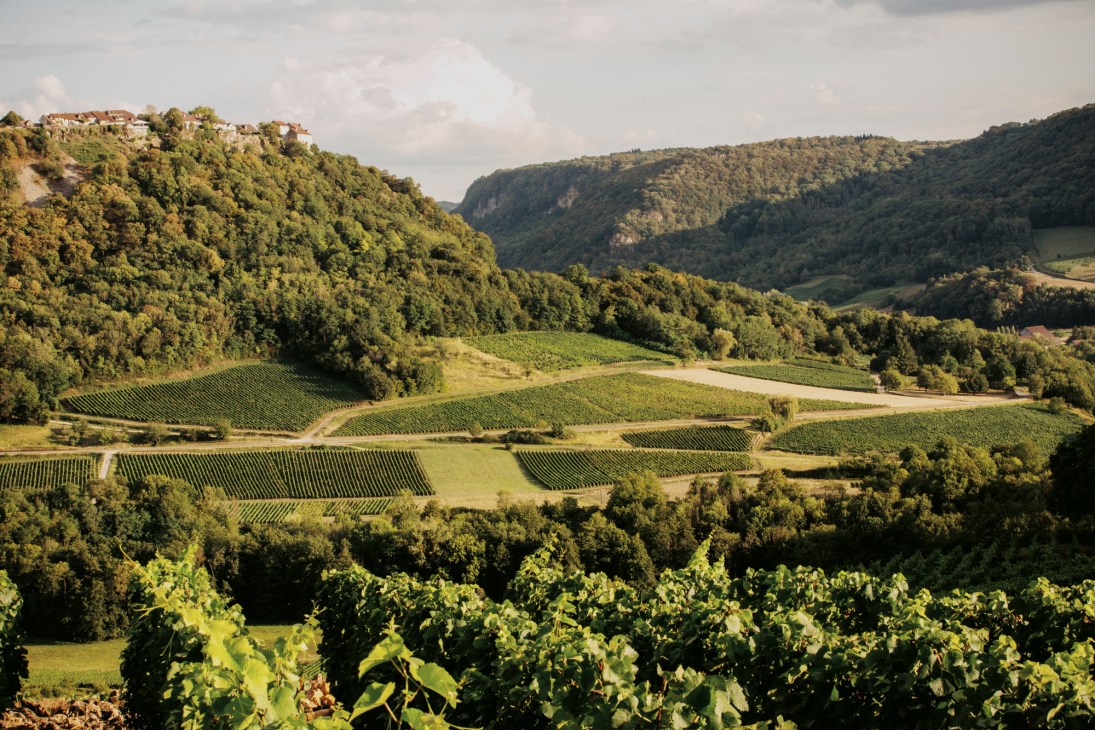 Rolling vineyard landscape near Château Chalon in the Jura valley