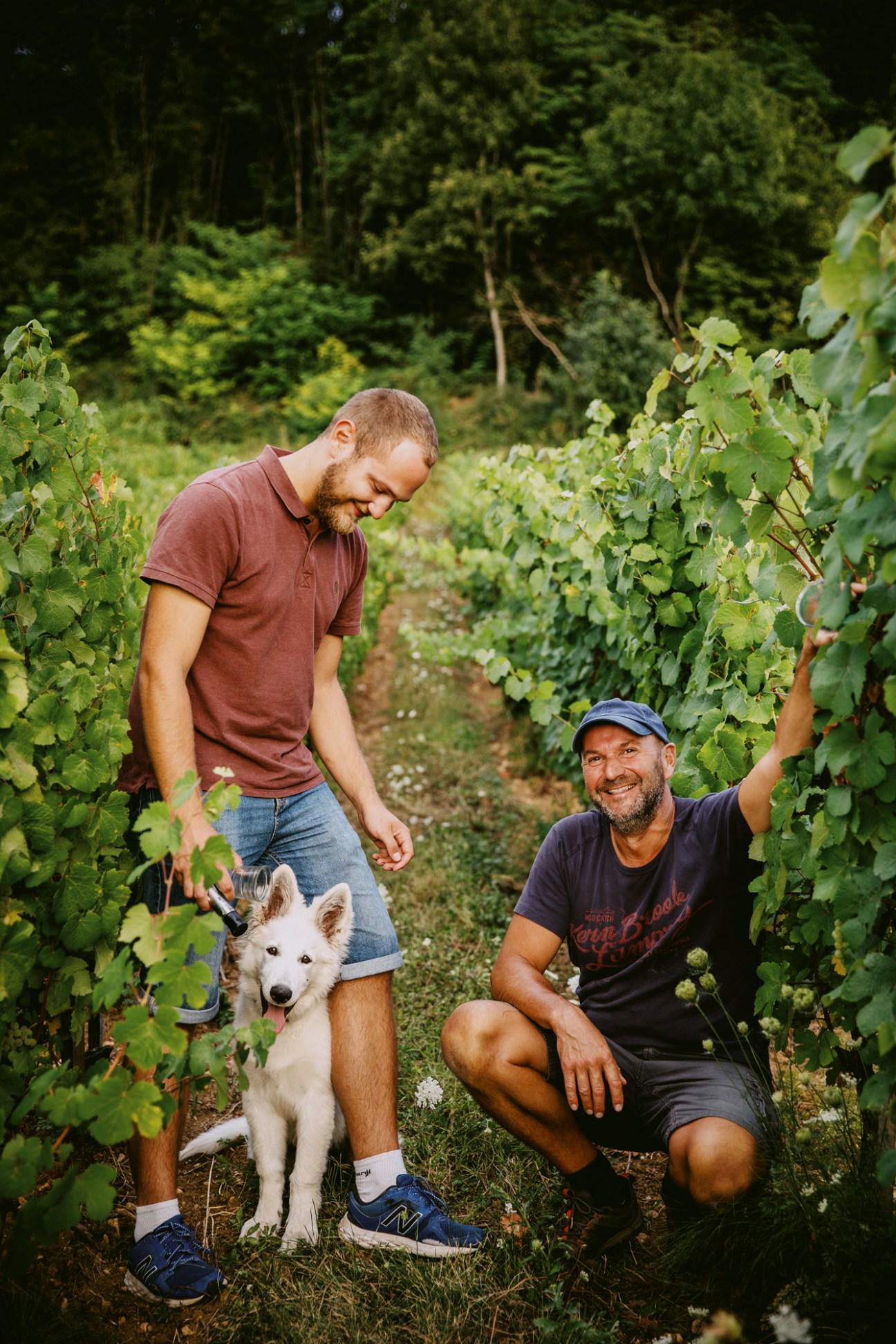 Stéphane Tissot and son Aymeric with dog inspecting vineyard vines in France's Jura valley