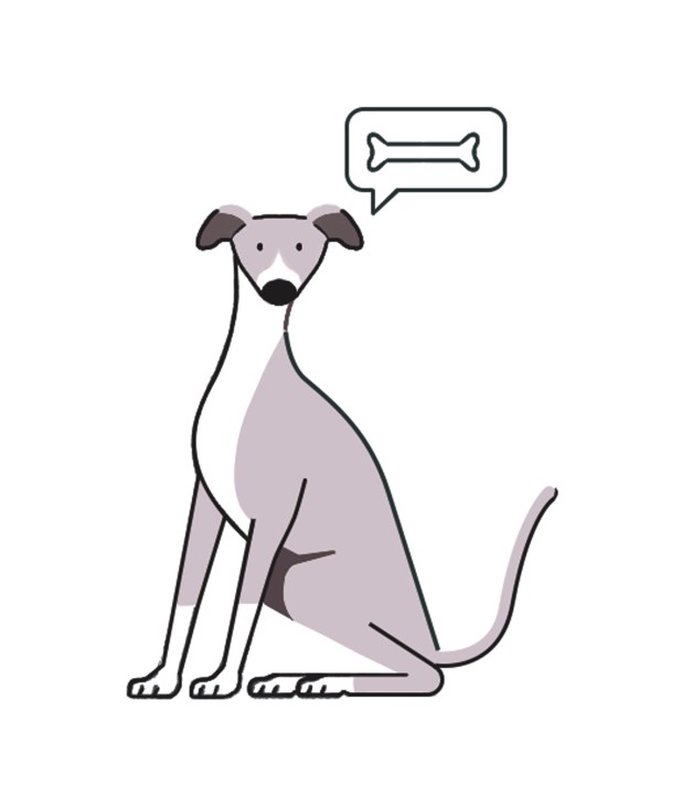 Illustration of a seated dog with pointed ears looking up at a speech bubble containing a bone icon.
