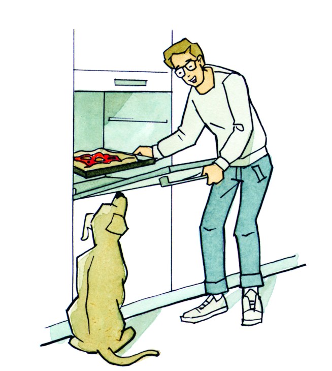 Person in kitchen placing food into V-Zug oven while dog sits nearby watching