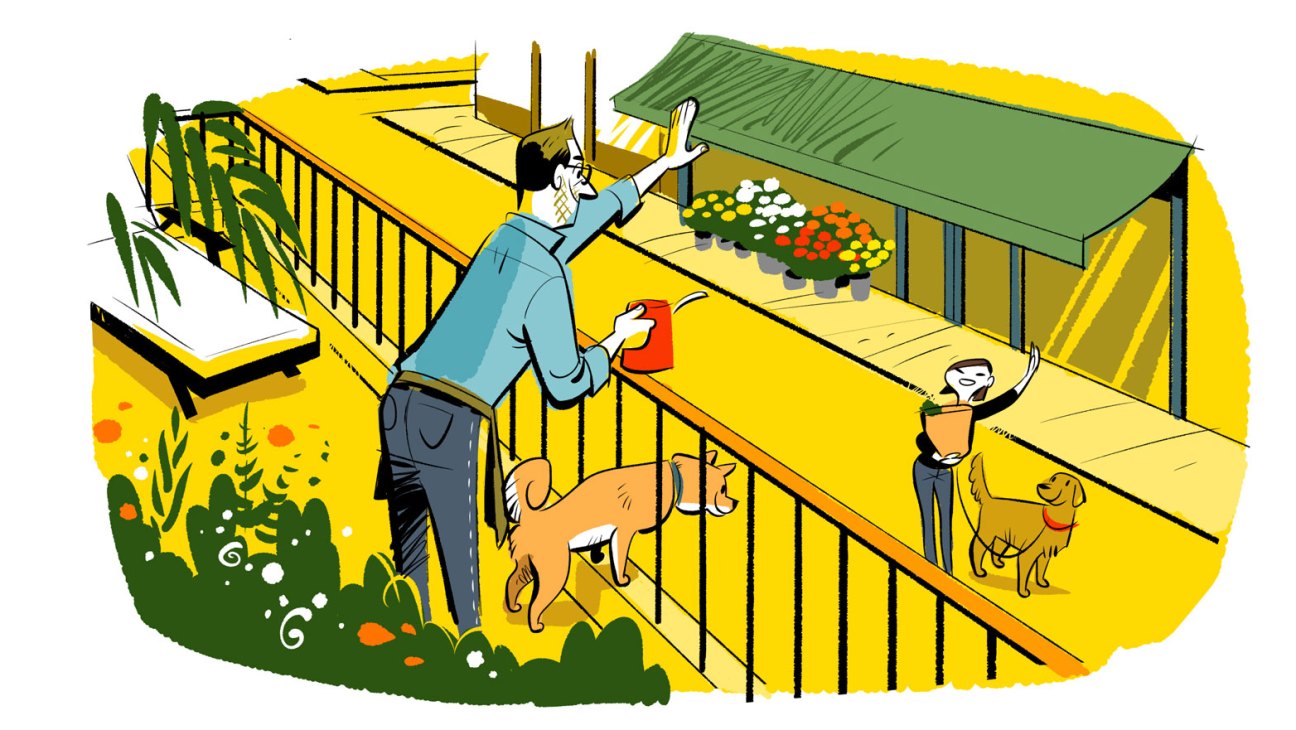 Person watering plants on apartment balcony while neighbor and dog stand on adjacent deck
