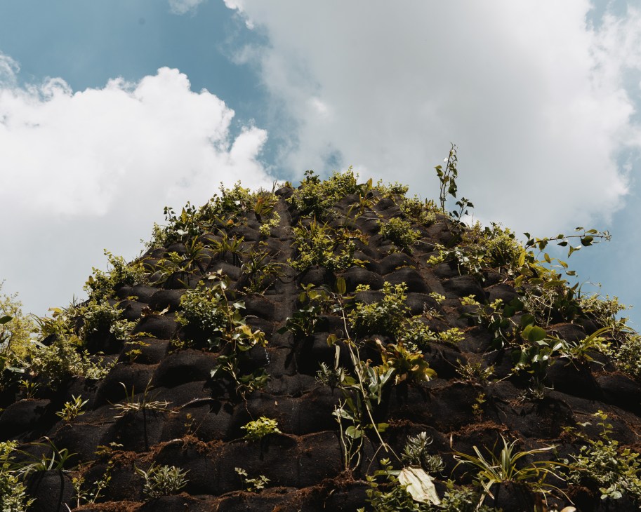 Stone wall or structure covered in green vegetation and plants against a cloudy sky