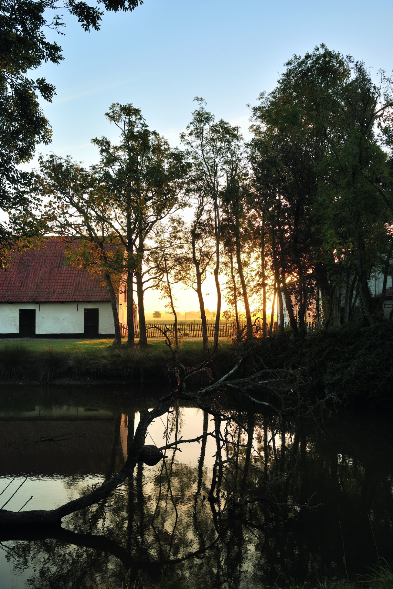 Traditional white farmhouse with red tile roof beside water canal at sunset in rural Belgian countryside