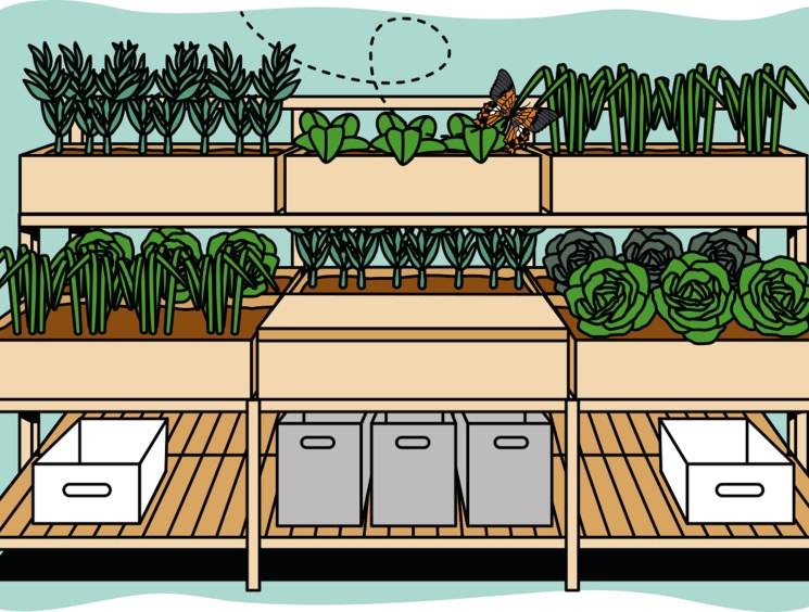 Kettal's Hydroponic Garden system showing tiered wooden shelving with various plants and vegetables growing in containers