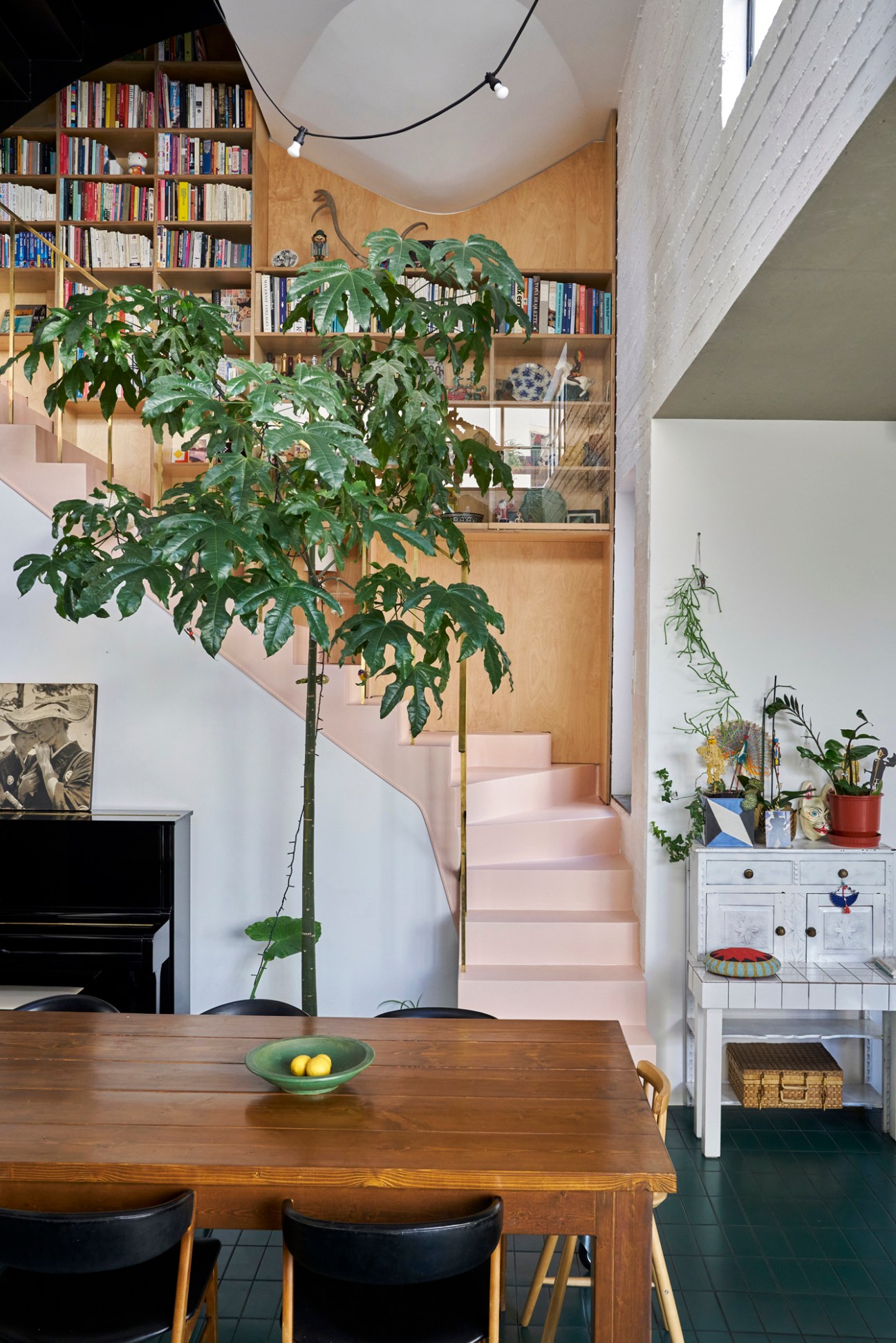 Modern dining room with large Brachychiton tree, wooden table, built-in bookshelves, and white stairs