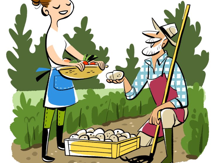 Illustration of a woman and man harvesting vegetables in a garden with green bushes and a wooden crate of produce.